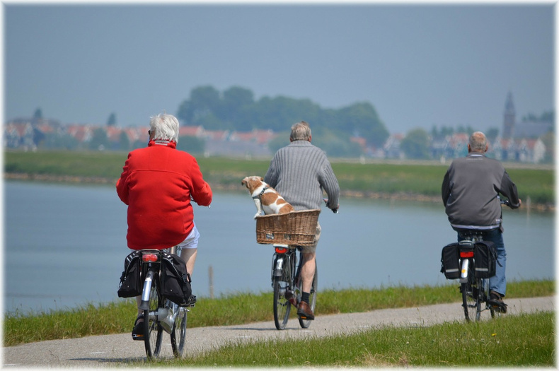 nns-bikers(890612)