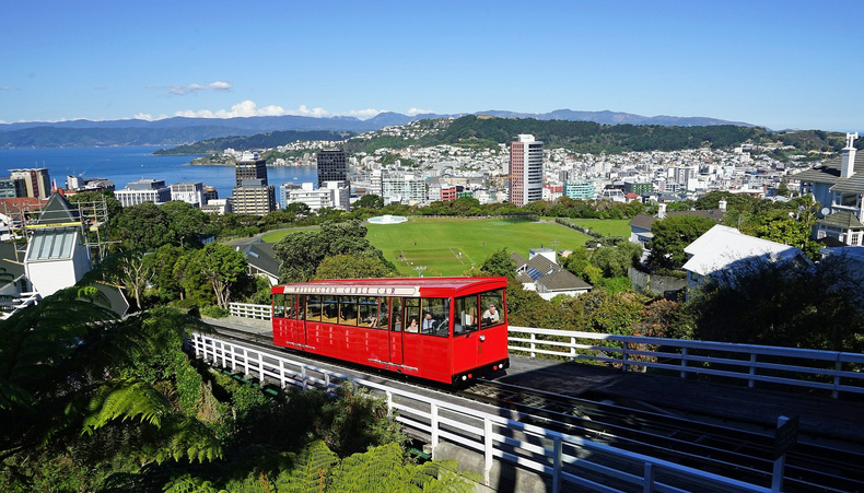 wellington-2144119_1920(893661)